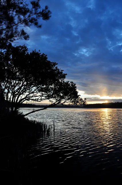 St Georges Basin — photograph 21