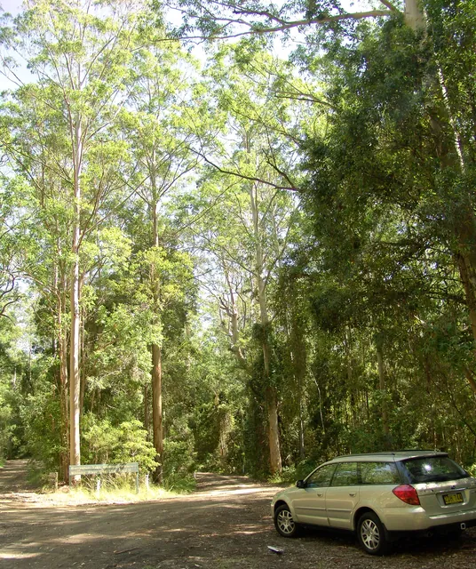 Arriving at the southerly park entrance via Dungog
