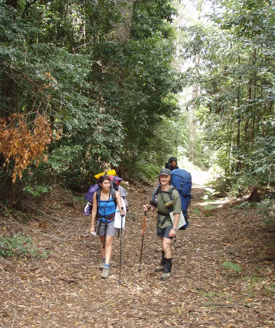 Barrington Tops — photograph 13