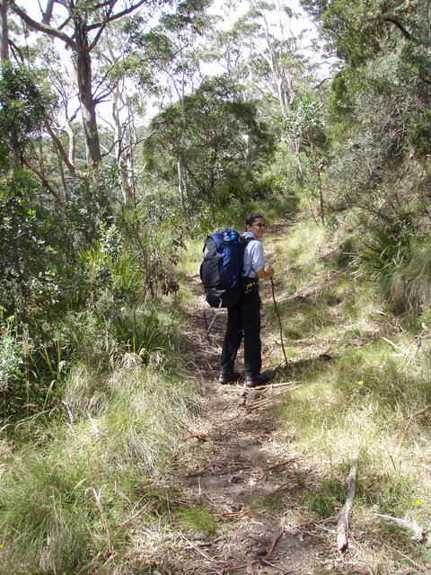 Barrington Tops — photograph 14