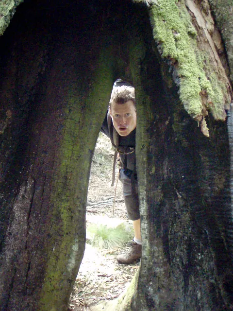 Barrington Tops — photograph 15