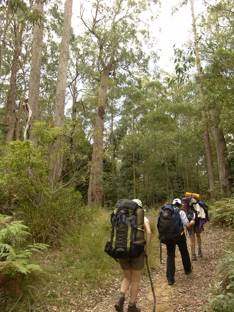 Barrington Tops — photograph 18