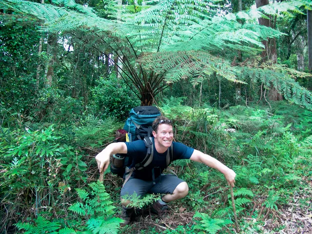 I do like a good fern