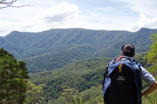 The vista looking out across the southern Allyn Range