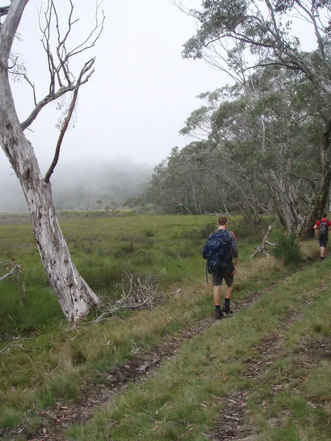 Following the 4x4 track around the swamp