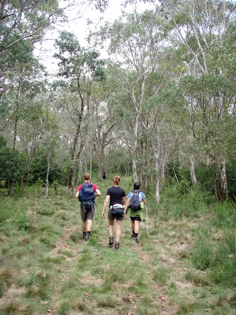 Barrington Tops — photograph 37