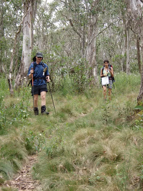 Barrington Tops — photograph 39
