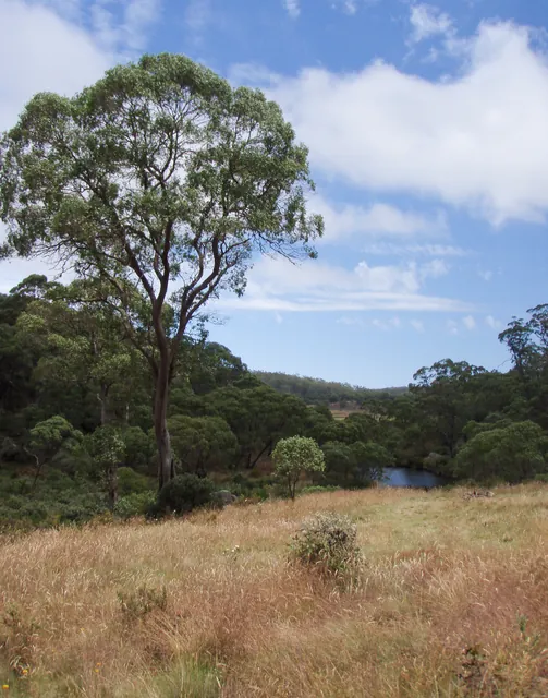 The very pretty Junction Pools area and camp site