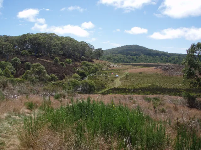 Gorgeous scenery and temperatures along the Edwards Swamp Walking Trail