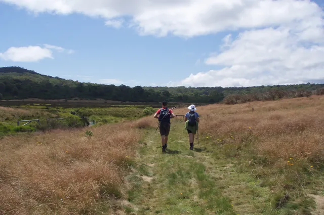 Barrington Tops — photograph 48