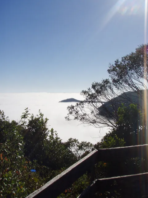 We were blown away by this completely unexpected cloud inversion view from Carey's Peak - awesome!
