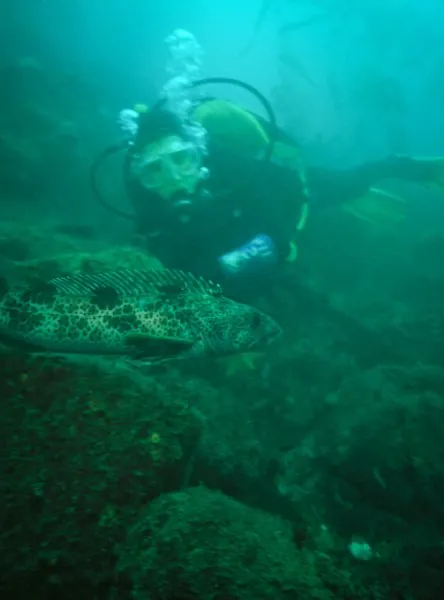 You can get nose to nose with the fish, but after a while they skulk off