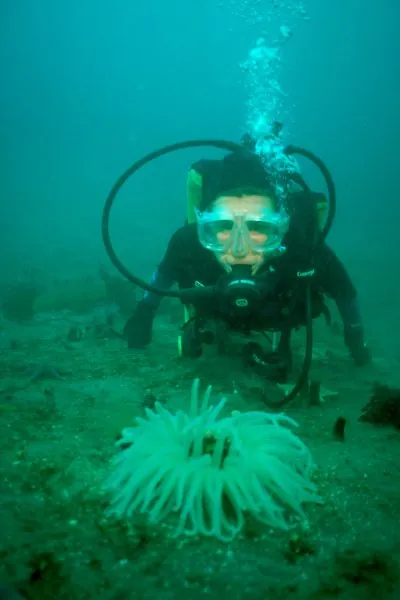 Freezing to numbness and not wanting to leave. Dive heaven