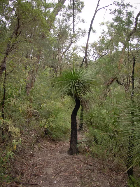 Some nice tree action along the way - check out the spike coming out of the top of it