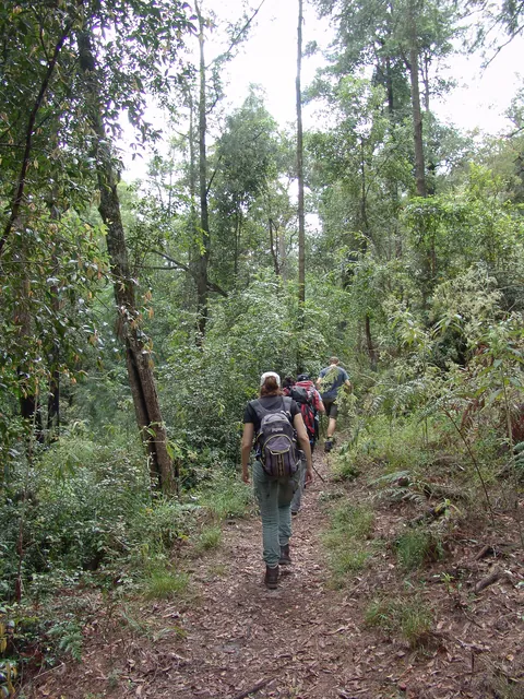 Dharug National Park — photograph 12