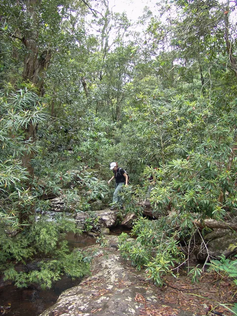 One of the many creek river crossings on the trail