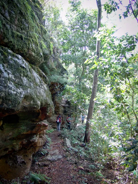 Dharug National Park — photograph 20