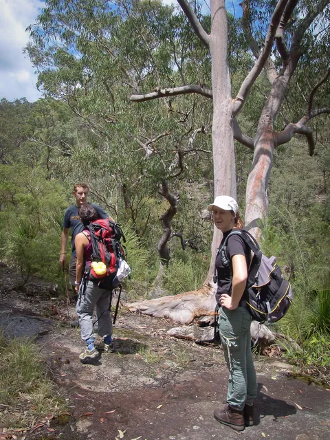 Dharug National Park — photograph 26
