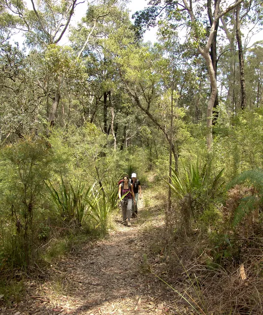 Dharug National Park — photograph 29