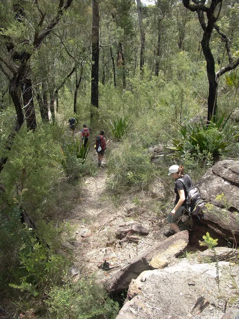 Dharug National Park — photograph 38