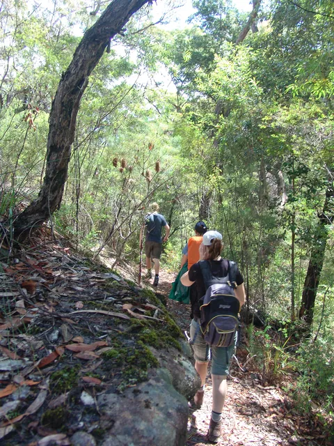 Dharug National Park — photograph 45