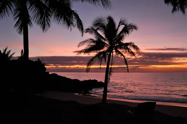 Early morning views from the Thala Beach Lodge resort, near Port Douglas