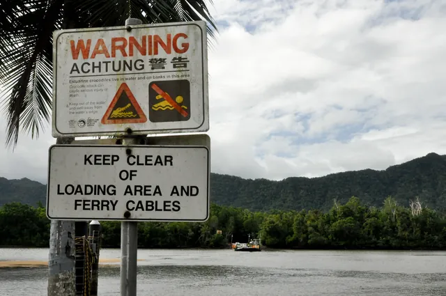 The Daintree River Crossing with estuarine crocodile warning sign