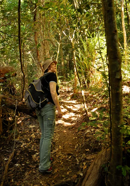 Cape Tribulation — photograph 14