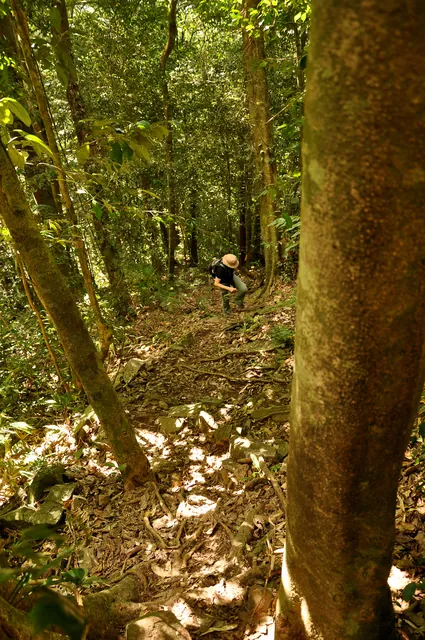 As we reach 2.5km, the track gets steeper