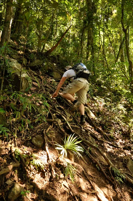 his is the steepest section on the track ... some grabbing of tree roots required