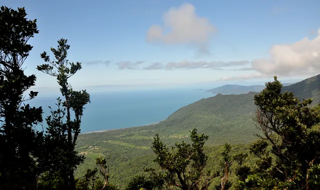 The view from the Mount Sorrow Lookout