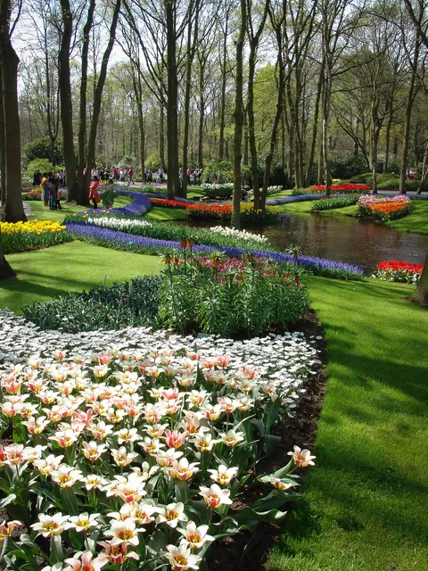 Keukenhof — photograph 7