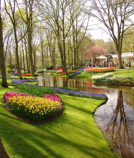 Keukenhof — photograph 9