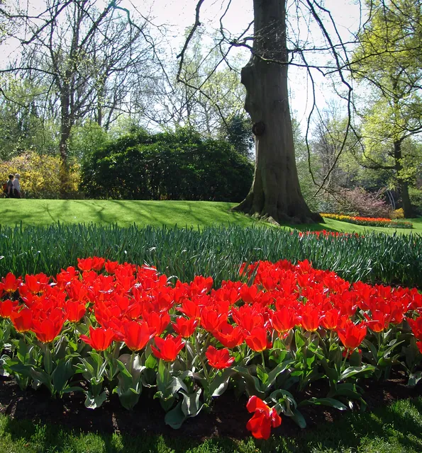Keukenhof — photograph 15