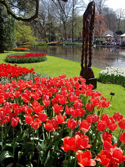 Keukenhof — photograph 25