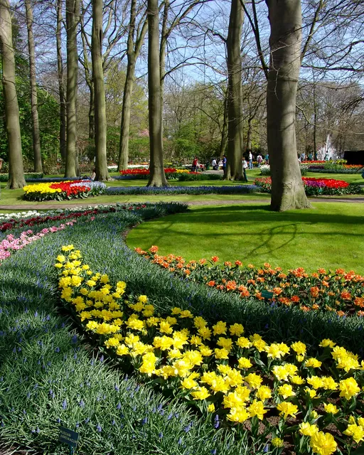 Keukenhof — photograph 28