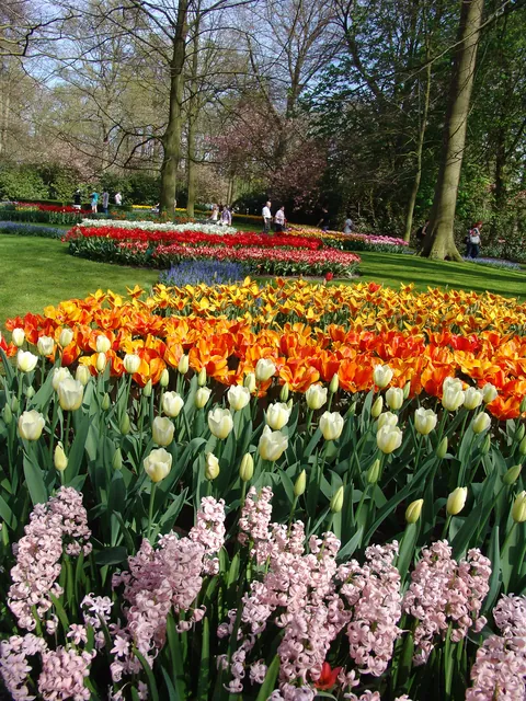 Keukenhof — photograph 32