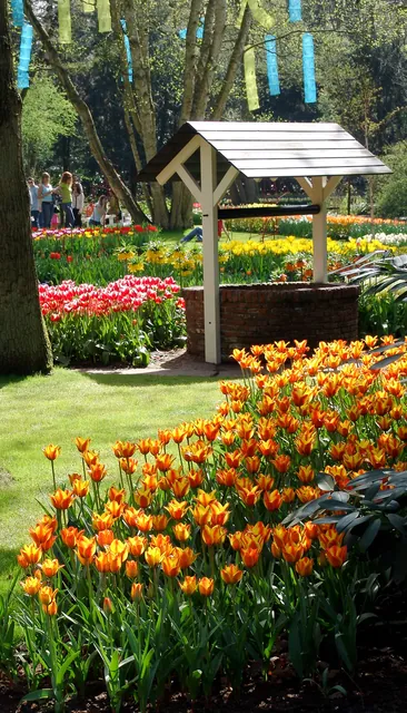 Keukenhof — photograph 43
