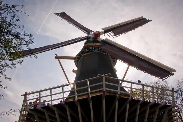 Keukenhof — photograph 56