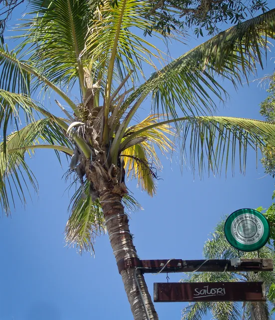 Starting off with lunch in the very chilled out Satori eatery, opposite Belongil Beach