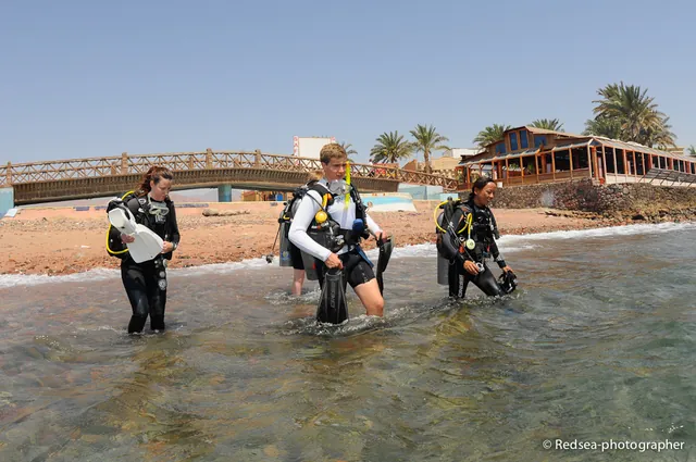 Precarious, rocky beach entrance. Big shout out to my dive buddy Sean Leader.