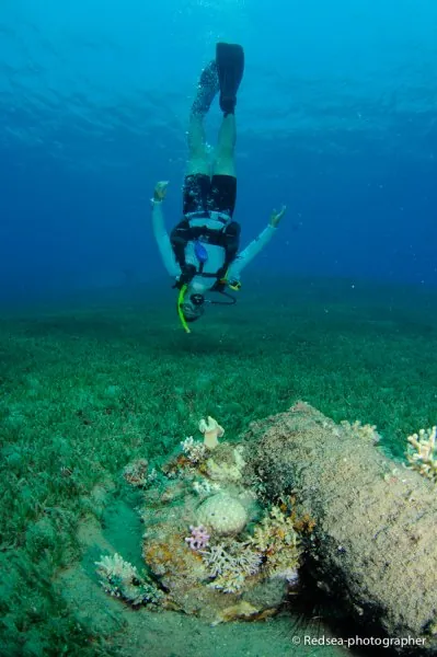 Sean working hard on his air consumption. He took to night diving like a cave bat!