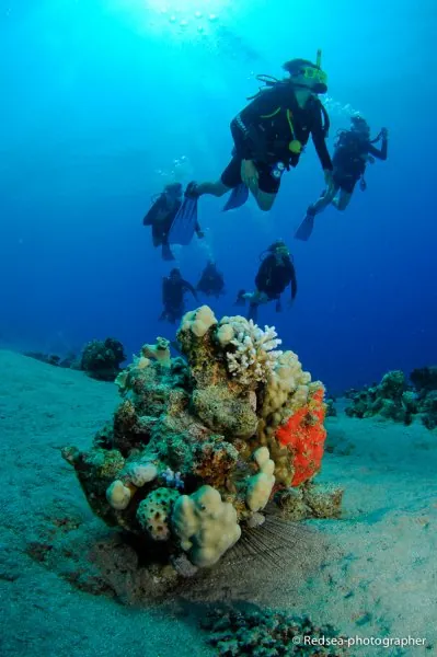 Dahab — photograph 25