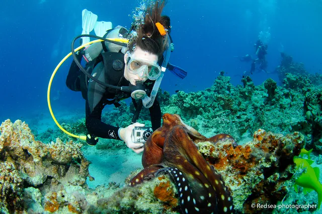 "Yes, this is a GoPro. It takes HD video but you might struggle to work it without opposable thumbs."