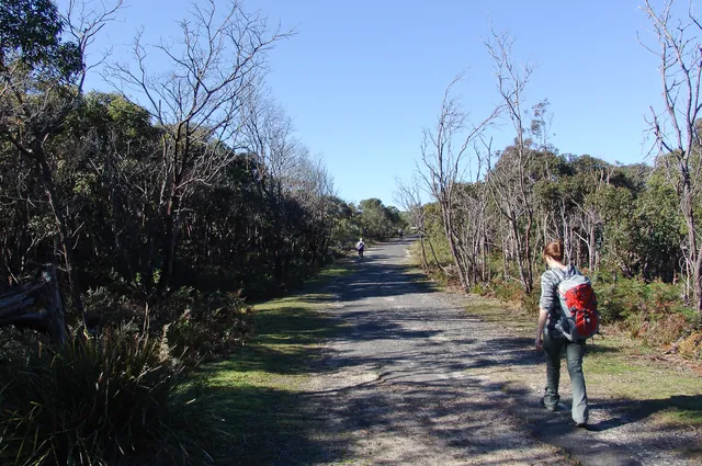 Royal National Park — photograph 6