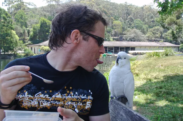 "You're not having any of my hard earned lunch matey!"