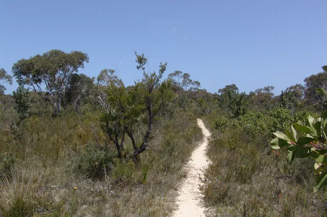 Royal National Park — photograph 31
