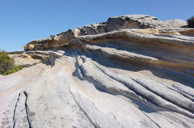 Royal National Park — photograph 11