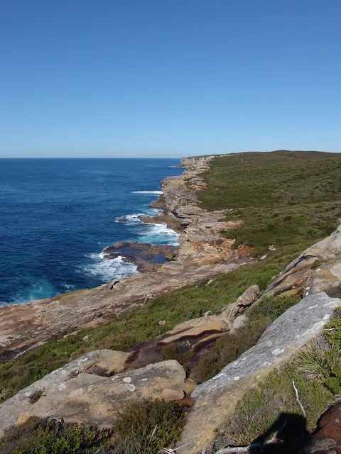 Royal National Park — photograph 13
