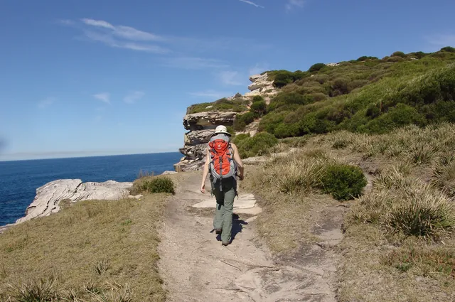 Royal National Park — photograph 32
